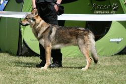 IMG_0405.jpg