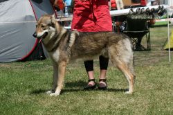 IMG_0414.jpg