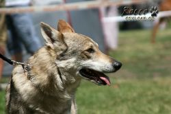 IMG_0429.jpg