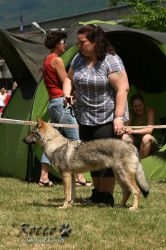 IMG_0444.jpg