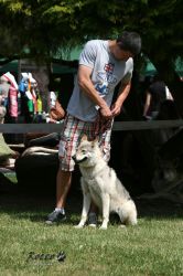 IMG_0445.jpg