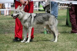 IMG_0454.jpg