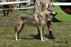 IMG_0468.jpg