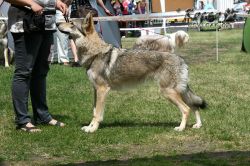 IMG_0481.jpg