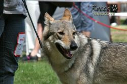 IMG_0483.jpg