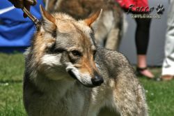 IMG_0489.jpg