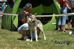 IMG_0493.jpg