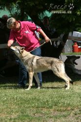 IMG_0494.jpg