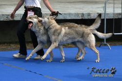 IMG_0551.jpg