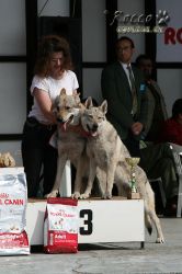 IMG_0564.jpg