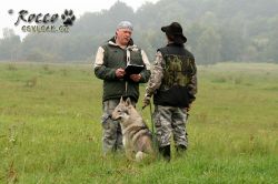 IMG_1082.jpg