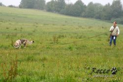 IMG_1090.jpg