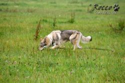 IMG_1092.jpg