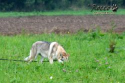 IMG_1103.jpg