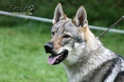 IMG_1152.jpg