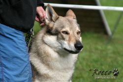 IMG_1157.jpg