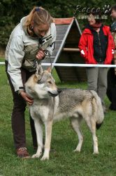 IMG_1167.jpg