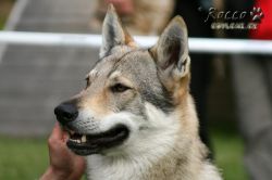 IMG_1173.jpg
