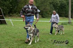 IMG_1183.jpg