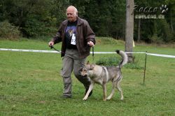 IMG_1185.jpg