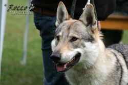 IMG_1200.jpg