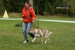 IMG_1222.jpg