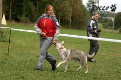 IMG_1223.jpg