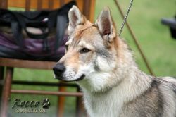 IMG_1225.jpg