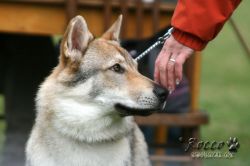 IMG_1227.jpg