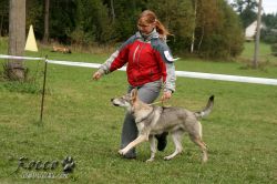 IMG_1228.jpg