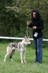 IMG_1236.jpg
