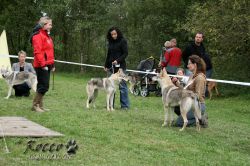 IMG_1262.jpg