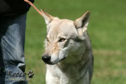 IMG_1270.jpg