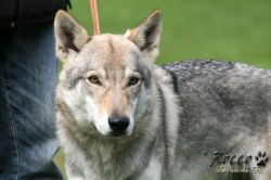 IMG_1273.jpg