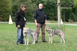 IMG_1275.jpg