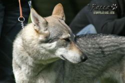 IMG_1283.jpg