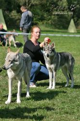 IMG_1297.jpg