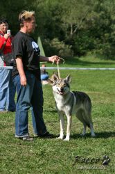IMG_1300.jpg