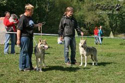 IMG_1307.jpg