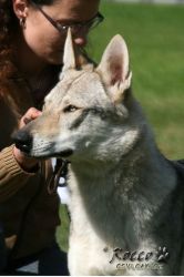 IMG_1315.jpg