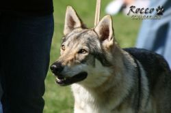 IMG_1317.jpg