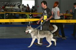 IMG_0008.jpg