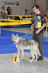 IMG_0014.jpg