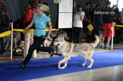 IMG_0018.jpg