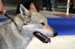 IMG_0024.jpg
