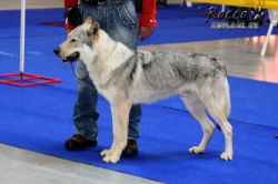 IMG_0056.jpg