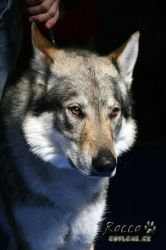 IMG_0067.jpg