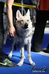 IMG_0095.jpg