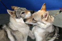 IMG_0105_02.jpg