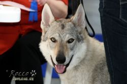 IMG_0114.jpg